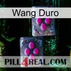 Hard Wang 01